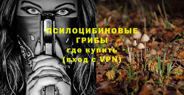 прущий лед Семилуки