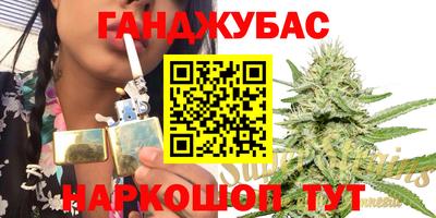 гидра Малгобек