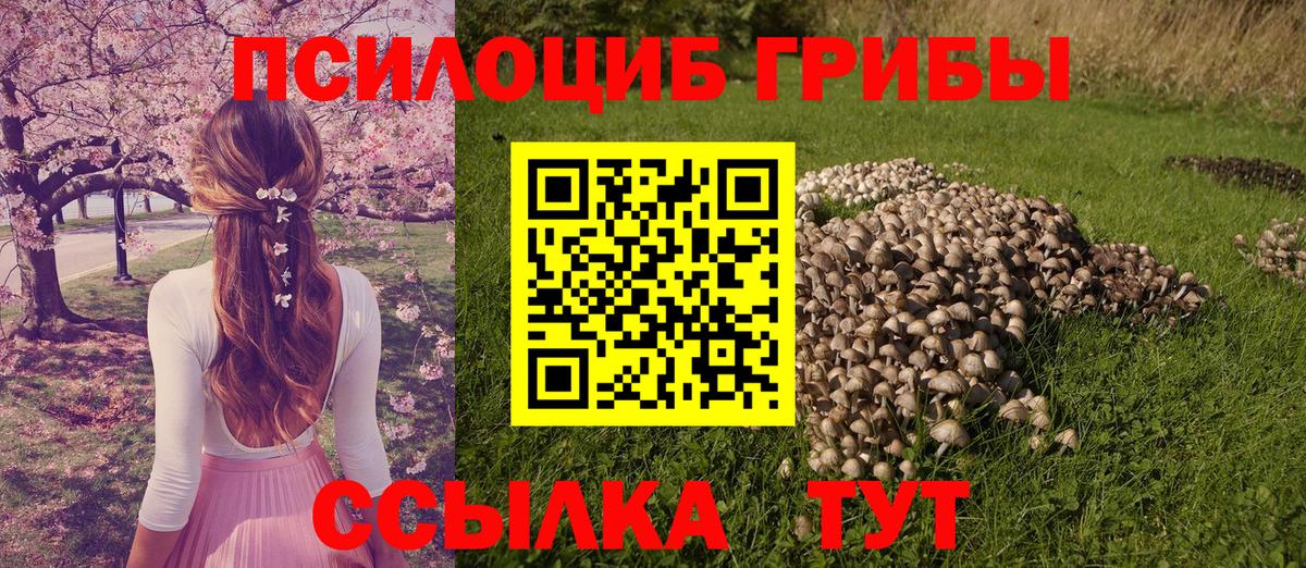 Псилоцибиновые грибы MAGIC MUSHROOMS  Вход с VPN  купить  цена  Геленджик  Псилоцибиновые грибы ЛСД 